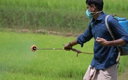 युद्ध का सीधा असर खेती पर: कीटनाशक 30% महंगे, किसानों की लागत बढ़ने की आशंका