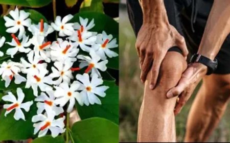 फूल भी करते हैं दवा का काम, इन रोगों में ये हैं रामबाण