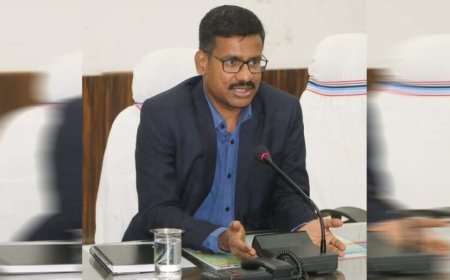कलेक्टर का सिंघम अवतार: RI और पटवारी निलंबित, तहसीलदार को फटकार, रेवेन्यू डिपार्टमेंट पर कड़ी टिप्पणी