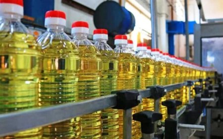 LPG संकट का असर: अब महंगा होगा खाने का तेल, आम आदमी की बढ़ी चिंता