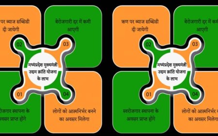 मेहनत और योजना का साथ, कविता दुबे ने खड़ा किया सफल व्यवसाय