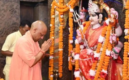 स्वदेशी गो-संवर्धन योजना में तेज प्रगति पर फोकस, सभी जिलों में बढ़ी रफ्तार