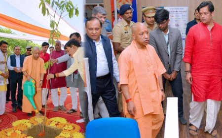 नव निर्माण के 9 वर्ष: 277 करोड़ से अधिक पौधरोपण वाला हरित प्रदेश बनेगा यूपी