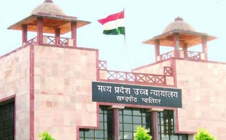 हाईकोर्ट का कड़ा आदेश: कलेक्टर, कमिश्नर या प्रमुख सचिव अपनी जिम्मेदारी से नहीं बच सकते