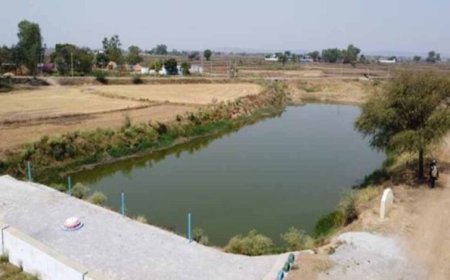 अमृत सरोवर से रिझोरा में लौटी हरियाली और खुशहाली