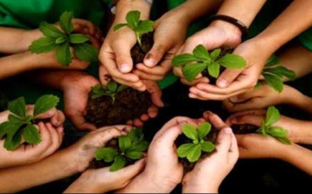 प्रकृति संरक्षण के लिए शिक्षकों का विशेष प्रशिक्षण