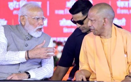 सारस की उड़ान बनी नोएडा इंटरनेशनल एयरपोर्ट की पहचान