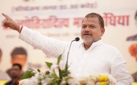1.90 करोड़ बिजली उपभोक्ताओं में से 1.40 करोड़ को मिलती है सस्ते दर पर बिजली : ऊर्जा मंत्री तोमर