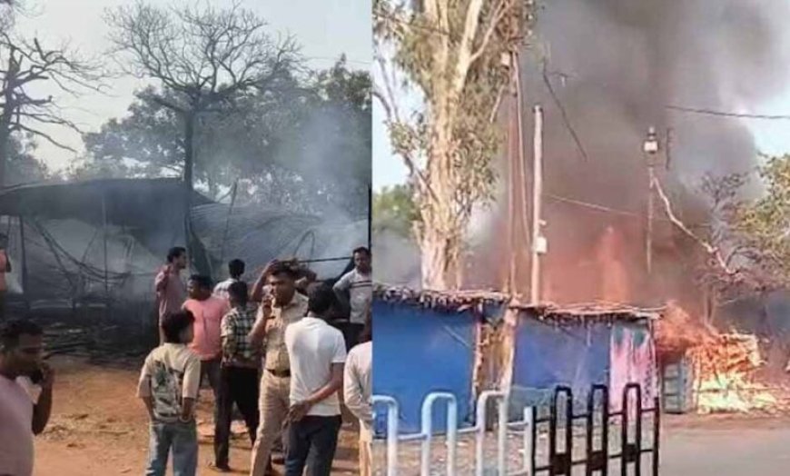 बलौदा बाजार में बंदरों की उछल-कूद से हादसा: ट्रांसफार्मर में शॉर्ट सर्किट, दुकानें जलकर खाक
