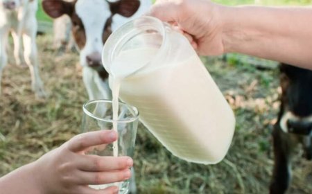 1 अप्रैल से 4 रुपए महंगा मिलेगा दूध, पेट्रोल-डीजल की किल्लत के बाद महंगाई का नया असर