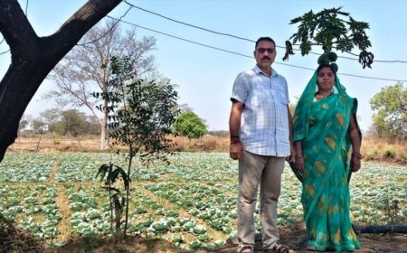 रायपुर : कुआं बना जीवन में बदलाव की वजह, अब सालभर खेती