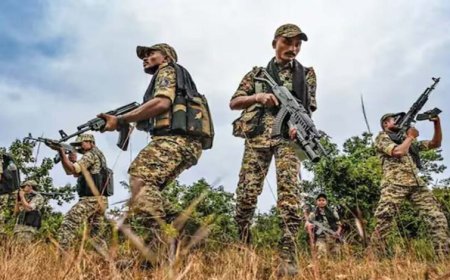 बस्तर में नक्सलवाद के खिलाफ जवानों की सफलता: टॉप लीडरों का एनकाउंटर, हथियारों के साथ सरेंडर, जानें 5 प्रमुख कारण