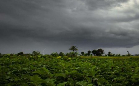MP में 5 अप्रैल तक ओले और आंधी-बारिश की चेतावनी, भोपाल-इंदौर समेत 30 जिलों में बारिश का अलर्ट