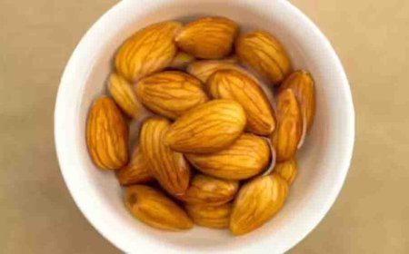 न्यूरोलॉजिस्ट ने बताए बादाम खाने के 4 सबसे सही तरीके, दिमाग की ताकत और याददाश्त बढ़ाने के लिए ऐसे करें सेवन