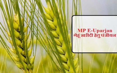 अनूपपुर जिले में गेहूँ उपार्जन 15 अप्रैल से प्रारंभ, 6 केंद्र निर्धारित
