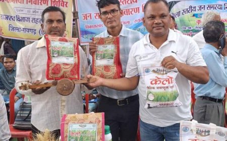 लैलूंगा की पहचान बना ‘केलो’ जैविक जंवाफूल चावल