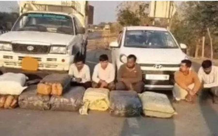 महासमुंद में बड़ा ड्रग्स ऑपरेशन: डेढ़ करोड़ का गांजा जब्त, 5 तस्कर गिरफ्तार