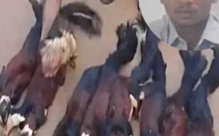 दुर्लभ गिलहरियों का शिकार पड़ा भारी: सोशल मीडिया बना शिकारी की गिरफ्तारी का कारण
