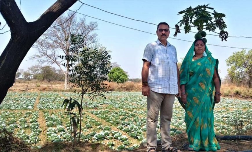 रायपुर : कुआं बना जीवन में बदलाव की वजह, अब सालभर खेती