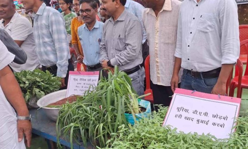 हरी खाद से बदल रही खेती की तस्वीर: कम लागत, बेहतर मुनाफा और स्वस्थ मिट्टी’