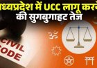 MP में UCC की पहल तेज, जिलों में जनसुनवाई और दिल्ली में समिति बैठक; आदिवासी प्रावधानों पर चर्चा