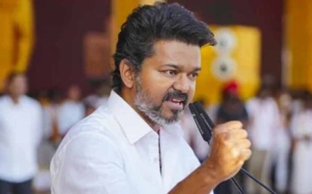 विजय की टीवीके का सियासी धमाका: पहले ही चुनाव में बनी ‘स्टार्टअप सक्सेस स्टोरी’
