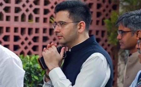 राघव चड्ढा का बयान: राष्ट्रपति द्रौपदी मुर्मू से मिलने के बाद बोले ‘AAP का अगला निशाना मैं हूं’