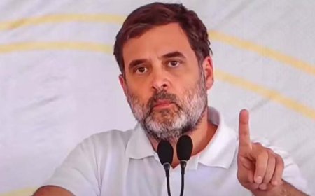राहुल गांधी का हमला: ‘बीजेपी का हर छठा सांसद है वोट चोरी से विजेता, हरियाणा सरकार घुसपैठियों की’
