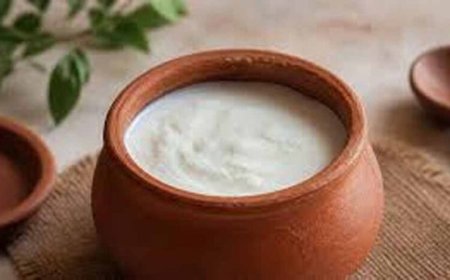गर्मियों में दही को खट्टा होने से बचाने के आसान और असरदार टिप्स