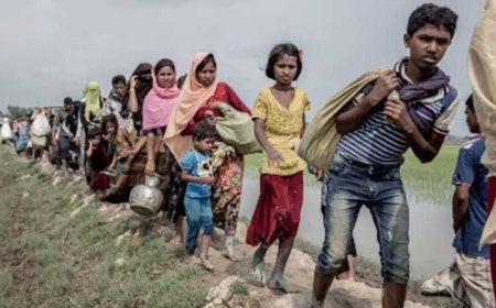 छत्तीसगढ़ में बांग्लादेशी घुसपैठियों की वापसी तेज, STF की समीक्षा बैठक; अब तक 57 ‘क्विट इंडिया’ नोटिस जारी