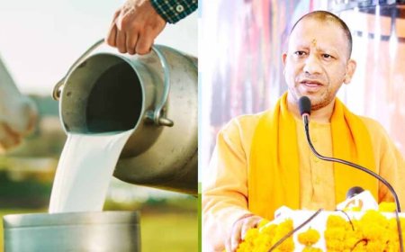 योगी सरकार का नया मॉडल : गांव की महिलाएं अब तकनीक के जरिए करेंगी दुग्ध व्यापार