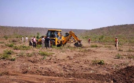 नीमच में 12 हेक्टेयर वन भूमि अतिक्रमण के प्रयास से मुक्त