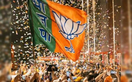 छत्तीसगढ़ BJP कार्यसमिति की बैठक 12-13 मई को, आगामी रणनीति पर होगा मंथन