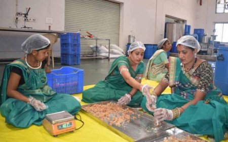 बदलता छत्तीसगढ़: वनोपज की चमक से संवरती ग्रामीण अर्थव्यवस्था