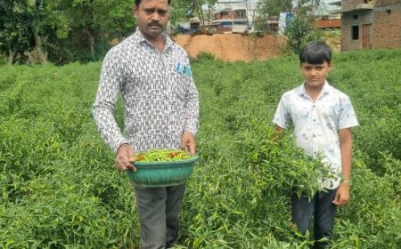 विशंकर जलाशय की सुरक्षा के लिए गेटों की मरम्मत एवं आवश्यक कार्यों हेतु 65.50 करोड़ रुपए की मिली प्रशासनिक स्वीकृति