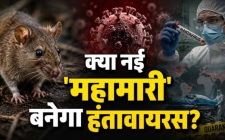 क्रूज शिप पर हंतावायरस का कहर, 3 मौतों के बाद WHO ने जारी किया अलर्ट
