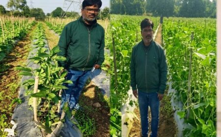 उद्यानिकी की आधुनिक तकनीकों से किसान महेश कश्यप की बदली तकदीर