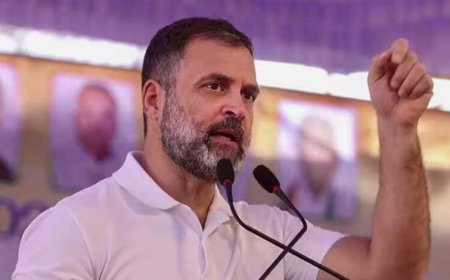 राहुल गांधी का MP दौरा फाइनल! उज्जैन और रीवा में कांग्रेस संगठन की होगी बड़ी समीक्षा