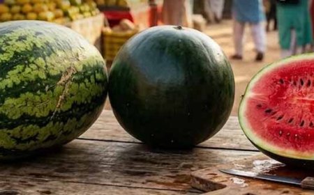 धारीदार या चिकना तरबूजम,कौन सा ज्यादा मीठा और रसीला होता है? जानें सच