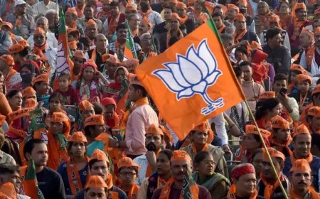 BJP की राष्ट्रीय कार्यकारिणी का जल्द ऐलान, MP के कई दिग्गज नेताओं के नाम चर्चा में