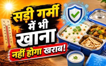 गर्मी में टिफिन पैकिंग गाइड: खाने को जल्दी खराब होने से बचाने के आसान तरीके