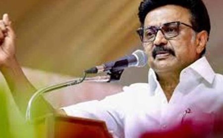 सिनेमा सुनामी’ वाली TVK सरकार ज्यादा दिन नहीं चलेगी: एमके स्टालिन