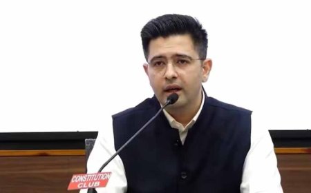 राज्यसभा की याचिका समिति के अध्यक्ष बने राघव चड्ढा, पुनर्गठन के बाद नई जिम्मेदारी