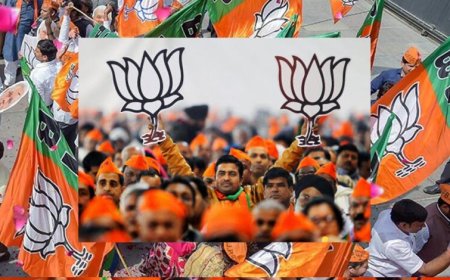 MP राज्यसभा चुनाव में BJP का ‘सवर्ण कार्ड’, भदौरिया और कांतदेव सबसे आगे