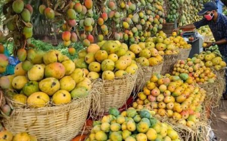 जापान में बैन के बाद सिंगापुर में भारतीय आमों की भारी डिमांड, सुपरमार्केट से मिनटों में हो रहे गायब