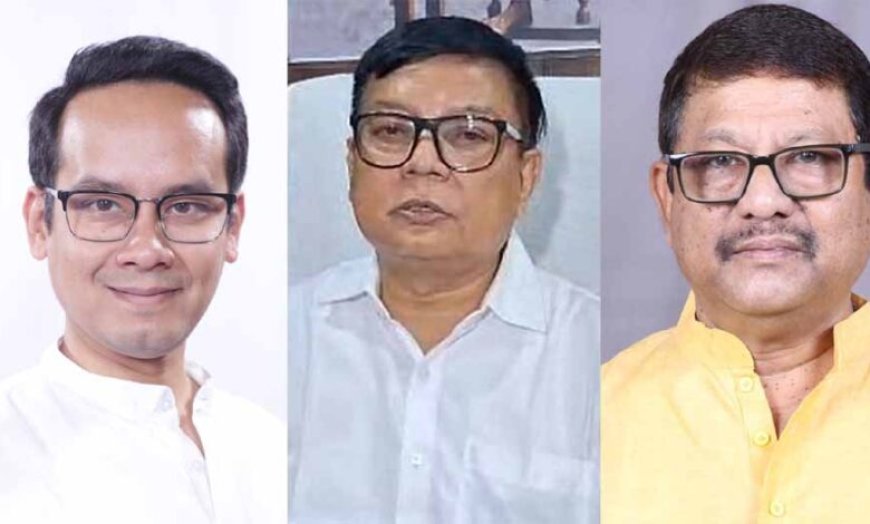 असम में वंशवाद को झटका: तीन पूर्व CM के बेटों की करारी हार, कांग्रेस पर बड़ा सवाल