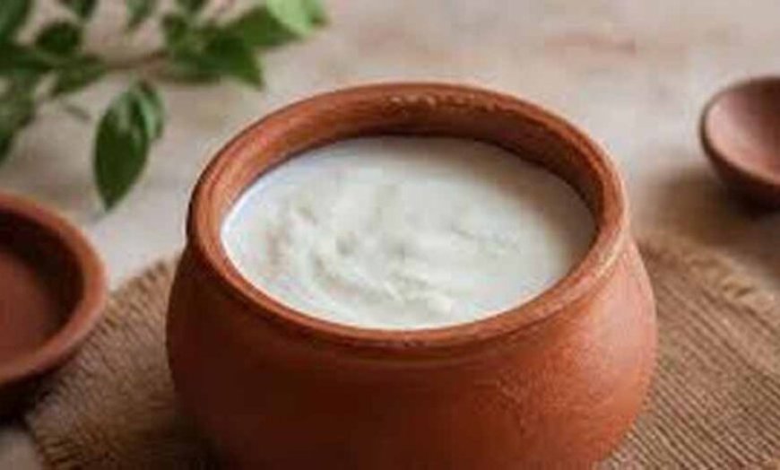 गर्मियों में दही को खट्टा होने से बचाने के आसान और असरदार टिप्स