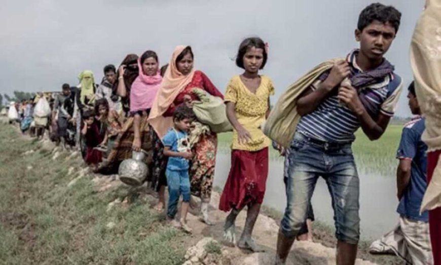 छत्तीसगढ़ में बांग्लादेशी घुसपैठियों की वापसी तेज, STF की समीक्षा बैठक; अब तक 57 ‘क्विट इंडिया’ नोटिस जारी