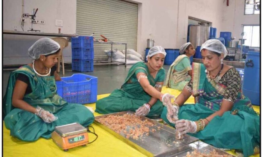 बदलता छत्तीसगढ़: वनोपज की चमक से संवरती ग्रामीण अर्थव्यवस्था