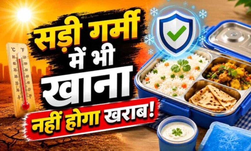 गर्मी में टिफिन पैकिंग गाइड: खाने को जल्दी खराब होने से बचाने के आसान तरीके